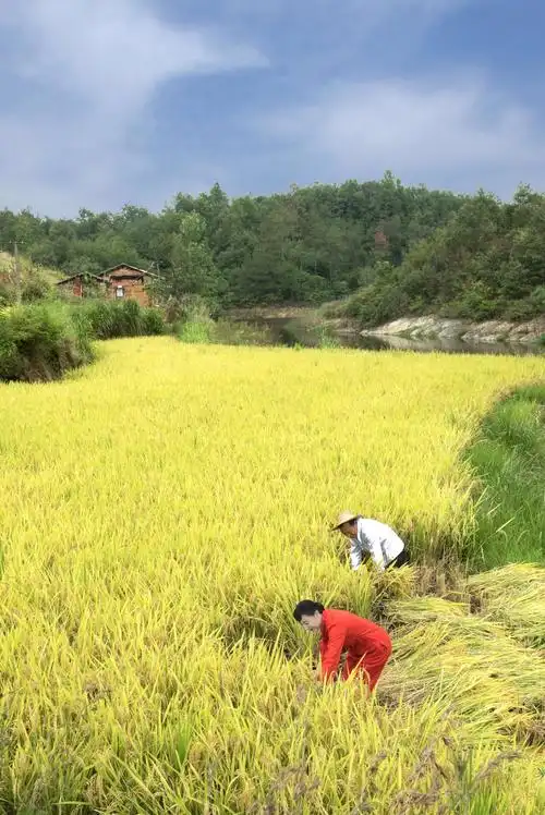 真实的劳动场景,才能激发我们的灵感,使我们创作出具有生活气息的作品
