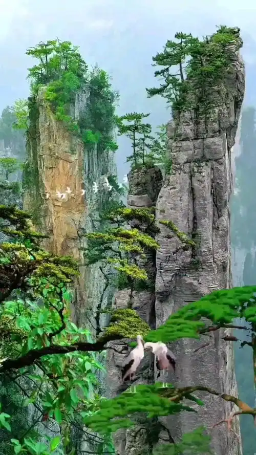 720_1280竖版 竖屏