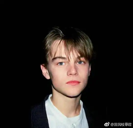 盛世美颜莱昂纳多