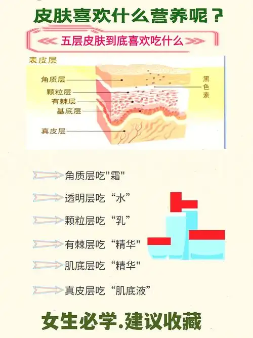 知道五层皮肤到底吃什么营养吗71