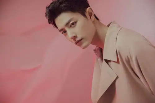 肖战- 堆糖,美图壁纸兴趣社区