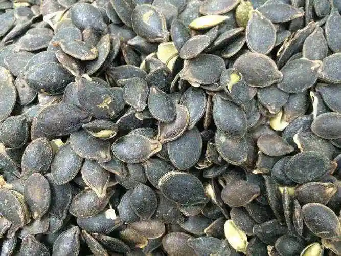 丝瓜子炒熟的功效与作用-丝瓜子炒熟的功效与作用,丝瓜子,炒,熟,功效