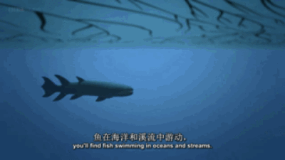 金鱼游动 - 堆糖,美图壁纸兴趣社区