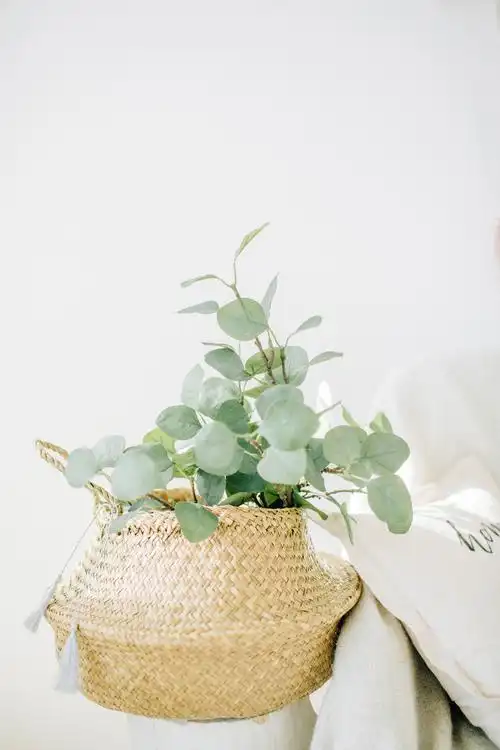 简约小清新女性装饰物品背景图片