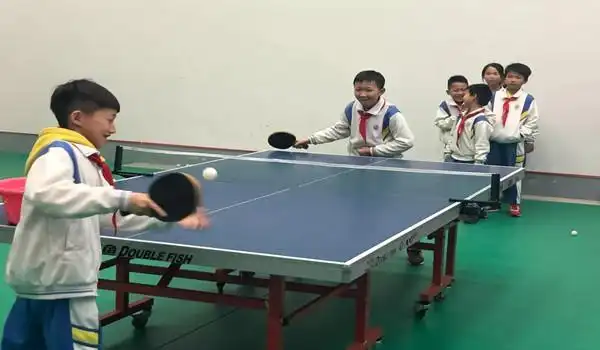 适合小学生的体育项目: 1.乒乓球运动