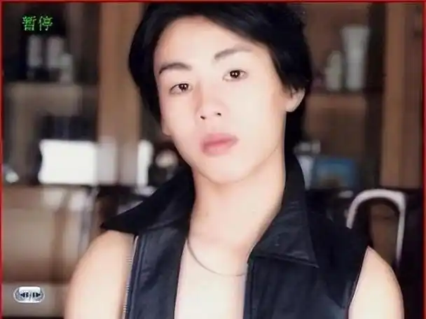 除了颜值其他都优秀的胡彦斌揭开了很多人的遮羞布