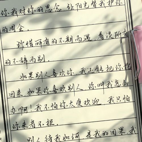 行楷手写字体奶酪体字帖大学生成年男女生书法练习硬笔临摹本描红