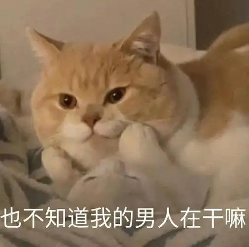 睡不着啊啊啊也不知道我男人在干嘛