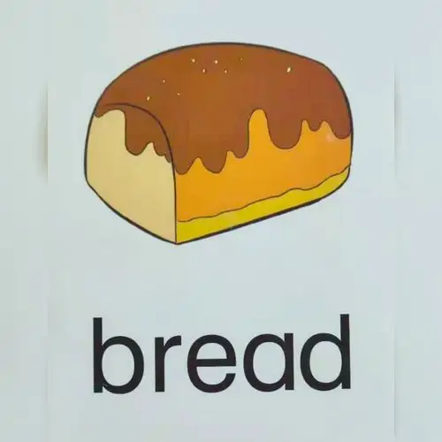 外教认知单词:lion,monkey bear