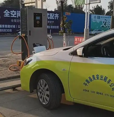 新能源汽车-重庆汤美费格商贸有限公司