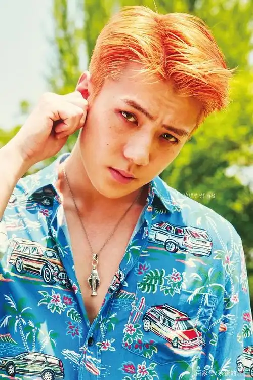 exo吴世勋kokobop图集:可爱的小橘