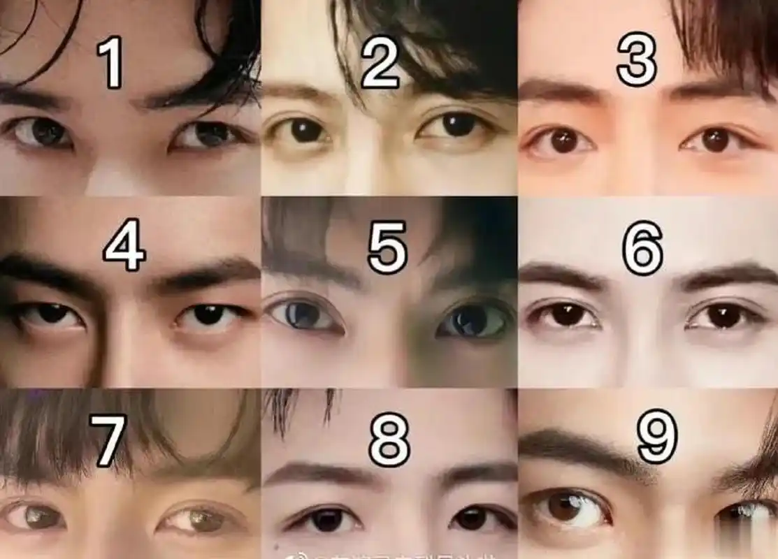 来猜人,内娱男星眼睛最符合你审美的是?