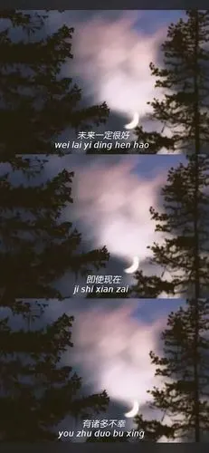 愿赌服输 - 堆糖,美图壁纸兴趣社区