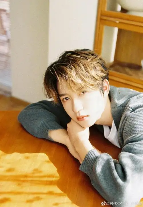 贺峻霖午后阳光写真真的好喜欢贺峻霖的这组写真呀阳光铺满了整个屋子