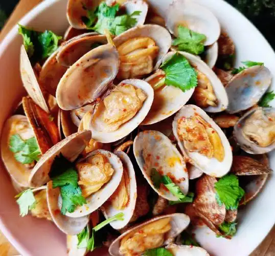 超级简单63快手菜之家常辣炒蚬子