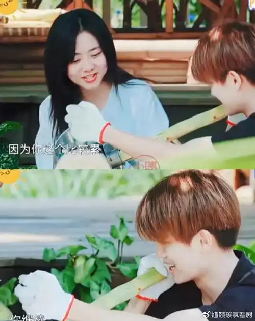 任嘉伦对谭松韵的温柔止于兄妹场面一度温馨