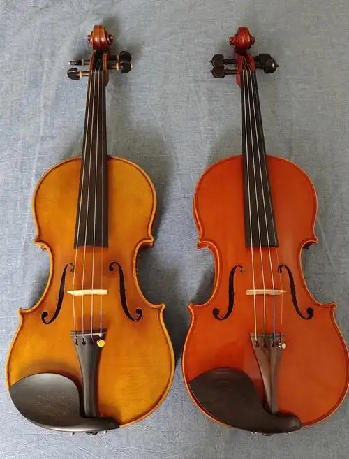 看下两把小提琴哪把贵?