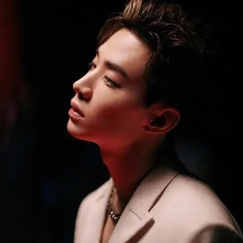 头像|刘宪华头像