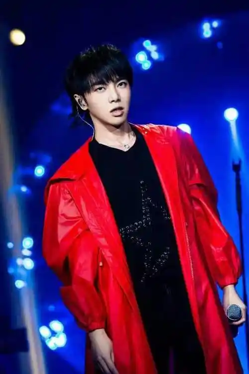 华晨宇个人资料介绍(华晨宇个人资料介绍多少岁) - 泉兴百科