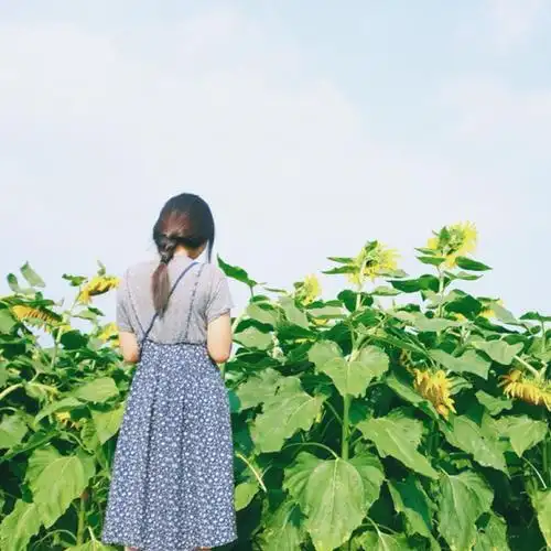 面向花海女生头像