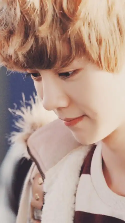 鹿晗手机壁纸高清可爱暖