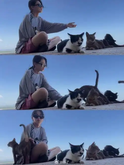 《默杀》里这个霸凌扮演者好帅  王晓赟子 中戏科班生 李兰迪易烊千玺