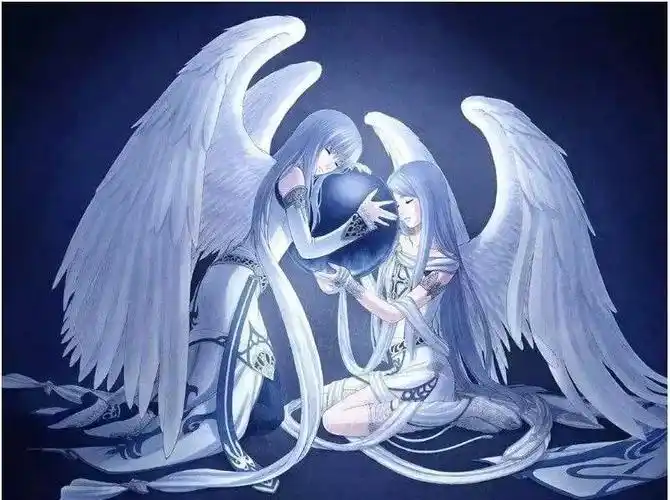 十二星座专属翅膀,摩羯一半天使一半恶魔,狮子最霸气,你的呢?