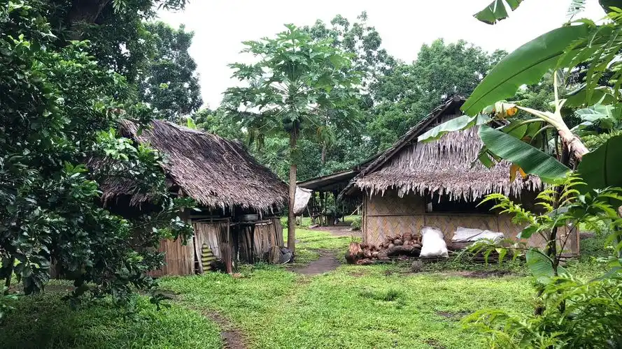 在原始部落生活的日子所谓的幸福感