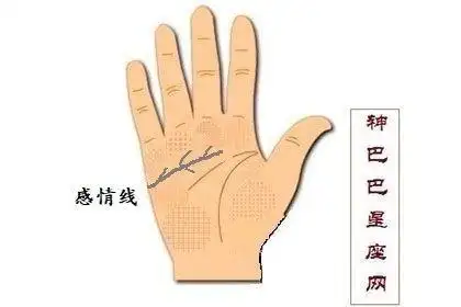 一,手相感情线图解分析