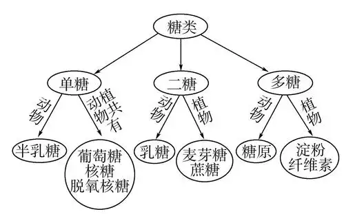 艺术生文化课补习名校远飞学校课时跟踪练4