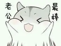 仓鼠表情包夸老公表情包合集老公最帅老公最棒