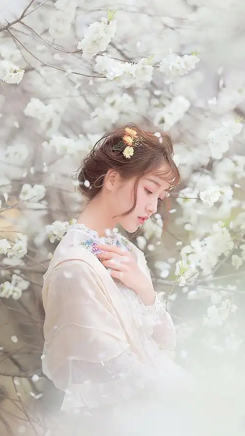 文艺唯美森系小清新手机壁纸聊天背景超清壁纸