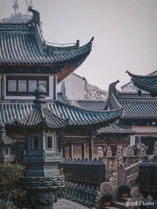 古风犹存的真如寺里,有一群自律的鸽子[gf]fe0f[/gf]