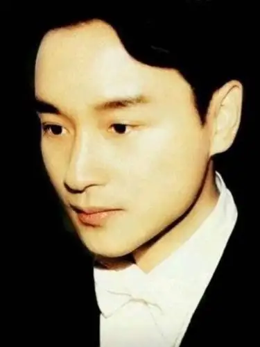 张国荣的颜,为什么没有人按他的脸来整?