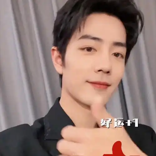 肖战#表情包～花式送祝福05