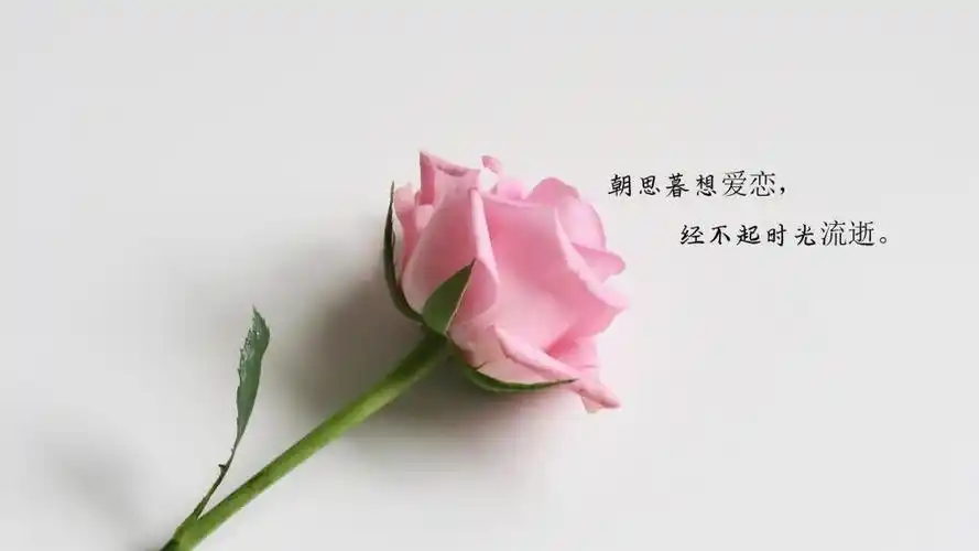 时光匆匆流逝的说说配图