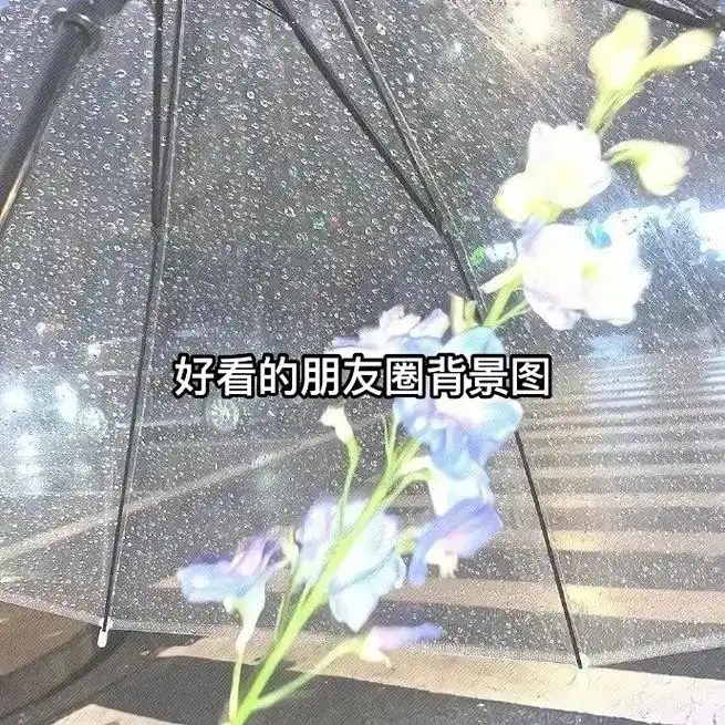 ins风朋友圈背景图高级感.傍晚的风很轻,街头的欢笑声很多, - 抖音