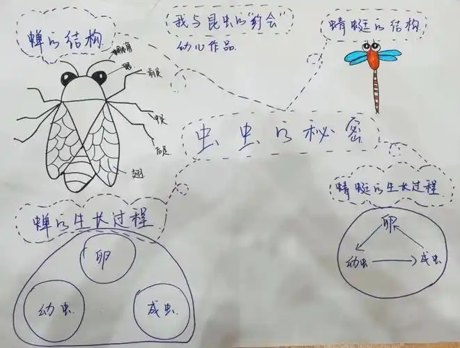 自然教学,观蝉思蜕变,童林堡的"昆虫记"_蜻蜓