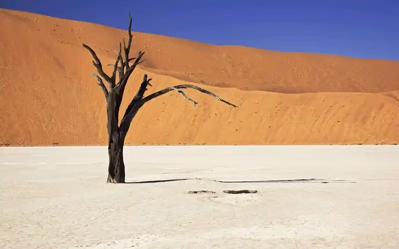 荒凉的沙漠戈壁风光