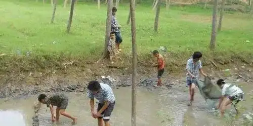 农村孩子的童年!那些回不去的美好!