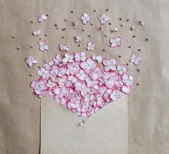 晚安暖心的一句话,精致唯美,触动心灵!