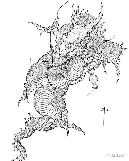 纹身手稿 | 龙线稿_线条