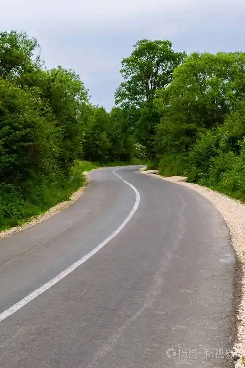 柏油路蜿蜒穿过绿树成荫