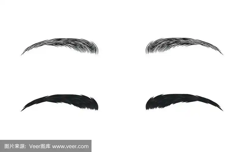 向量眉毛,现实和卡通风格