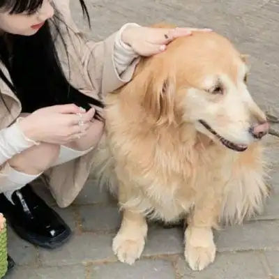 真人对象不是人系列情侣头像图片