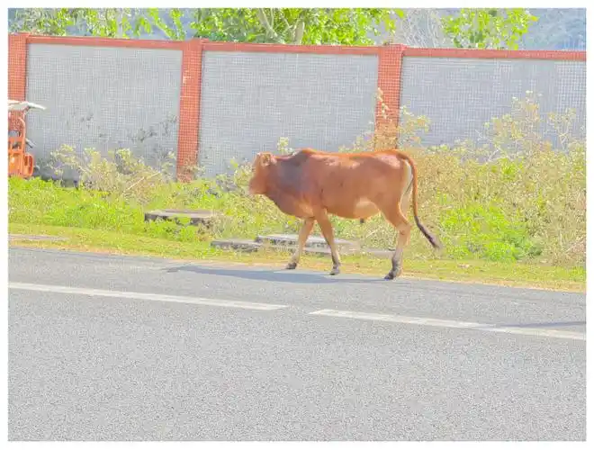 你的手机屏幕在室外够亮吗