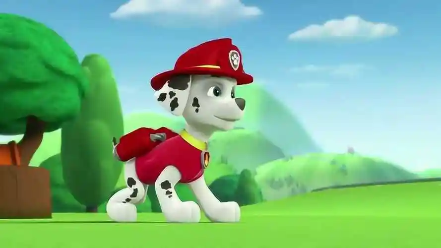 汪汪队立大功:毛毛你真的是用滚的啊 快起来