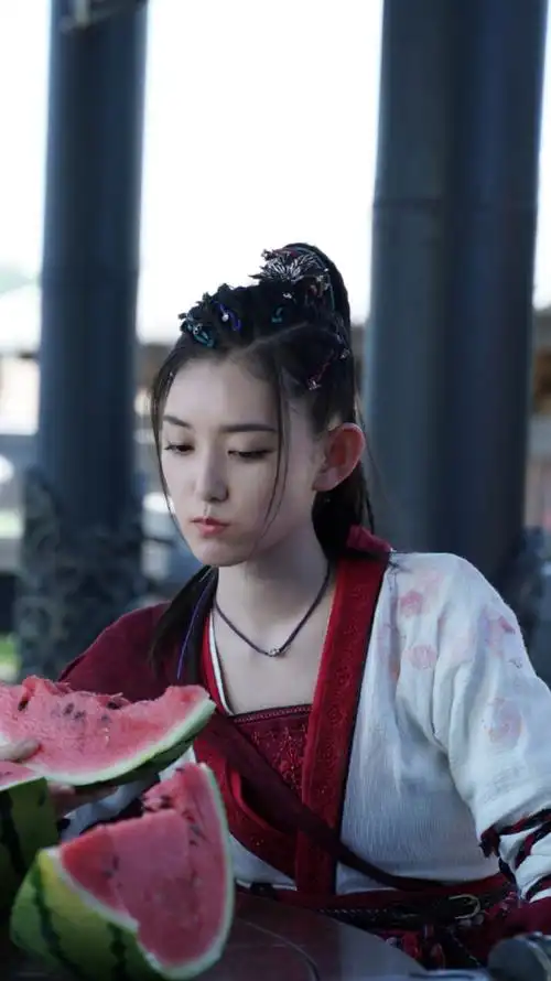 赘婿 刘西瓜 蒋依依