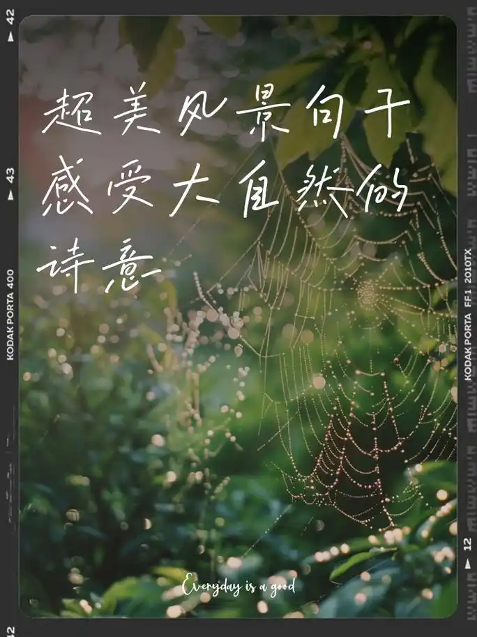 超美风景句子,感受大自然的诗意 旅途的每一刻,都是迷人的风景 跨越