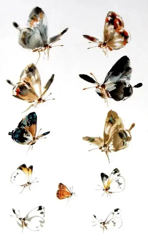 国画大师手把手教你画蝴蝶画蝴蝶怎么画